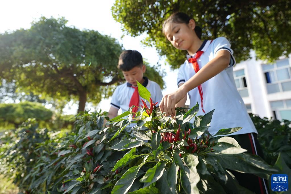 巴黎人免费登录